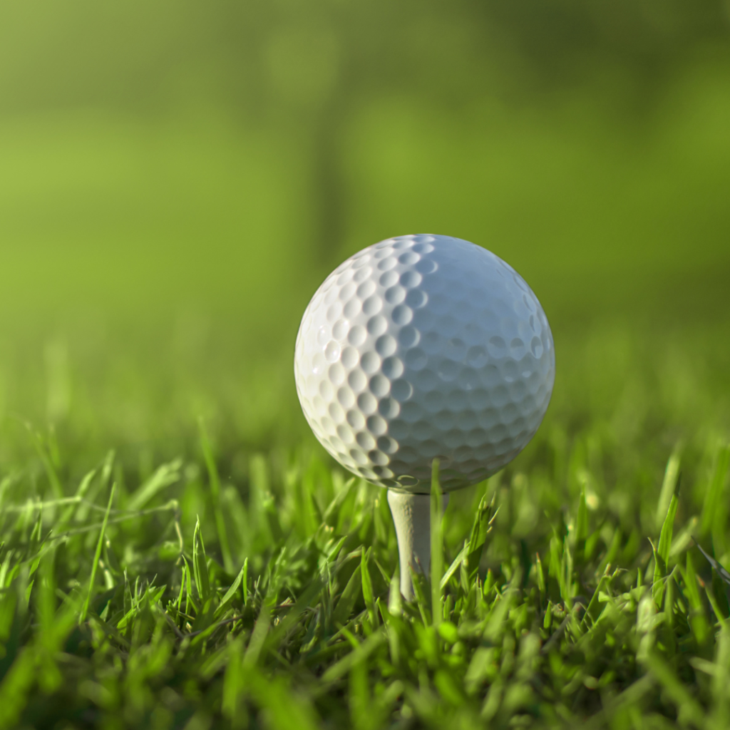 Third Annual MSCO Youth Ranch Golf Tournament is officially on its way