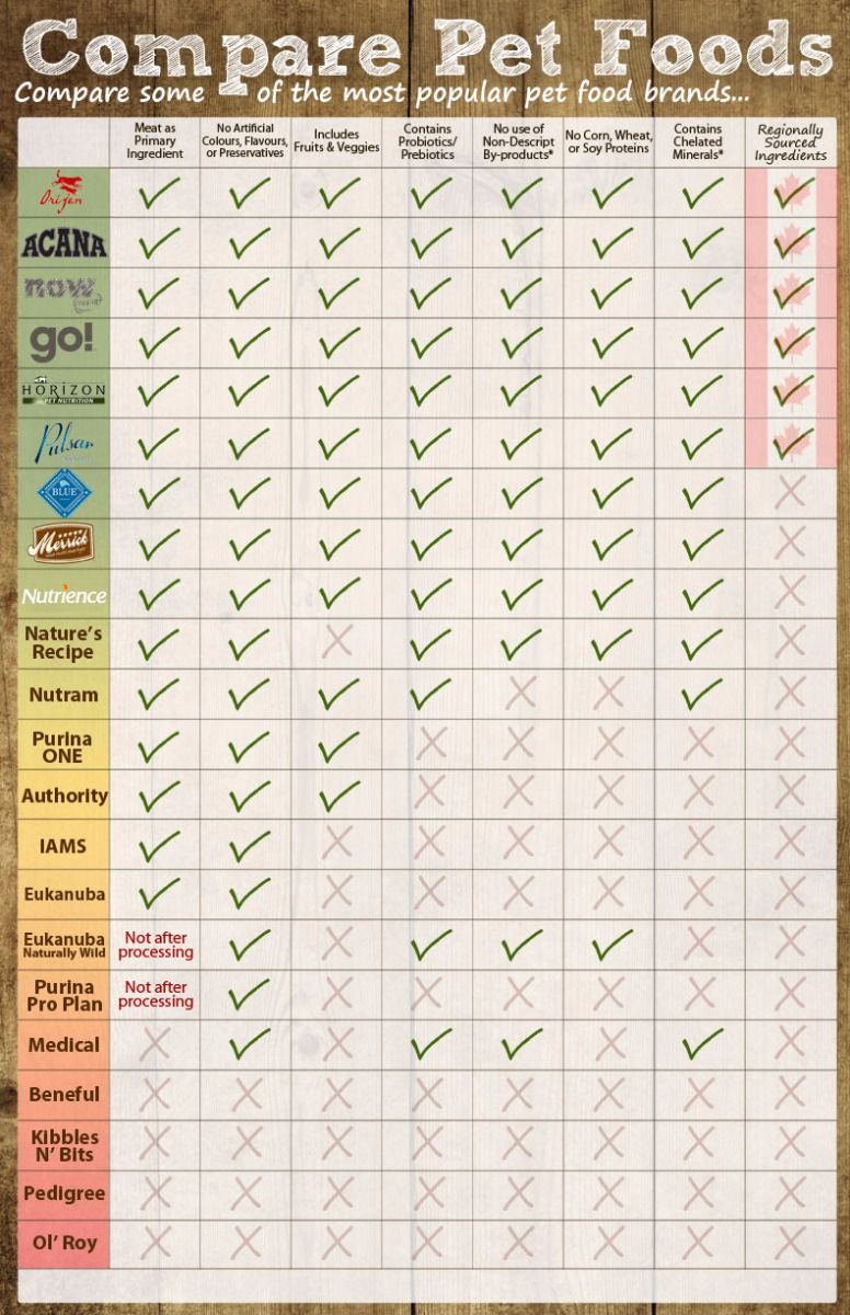 How to pick the best dry dog food for your pet